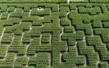 Pop Corn Labyrinthe – Pont-l’Abbé – Pays Bigouden – Bigoudenjoy