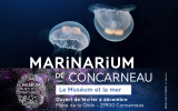 Marinarium – Aquarium à Concarneau – Aquariums Finistère Sud, Bretagne